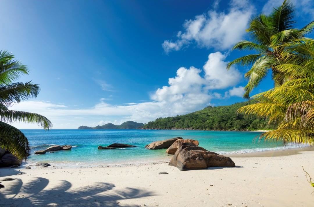 Beach scene